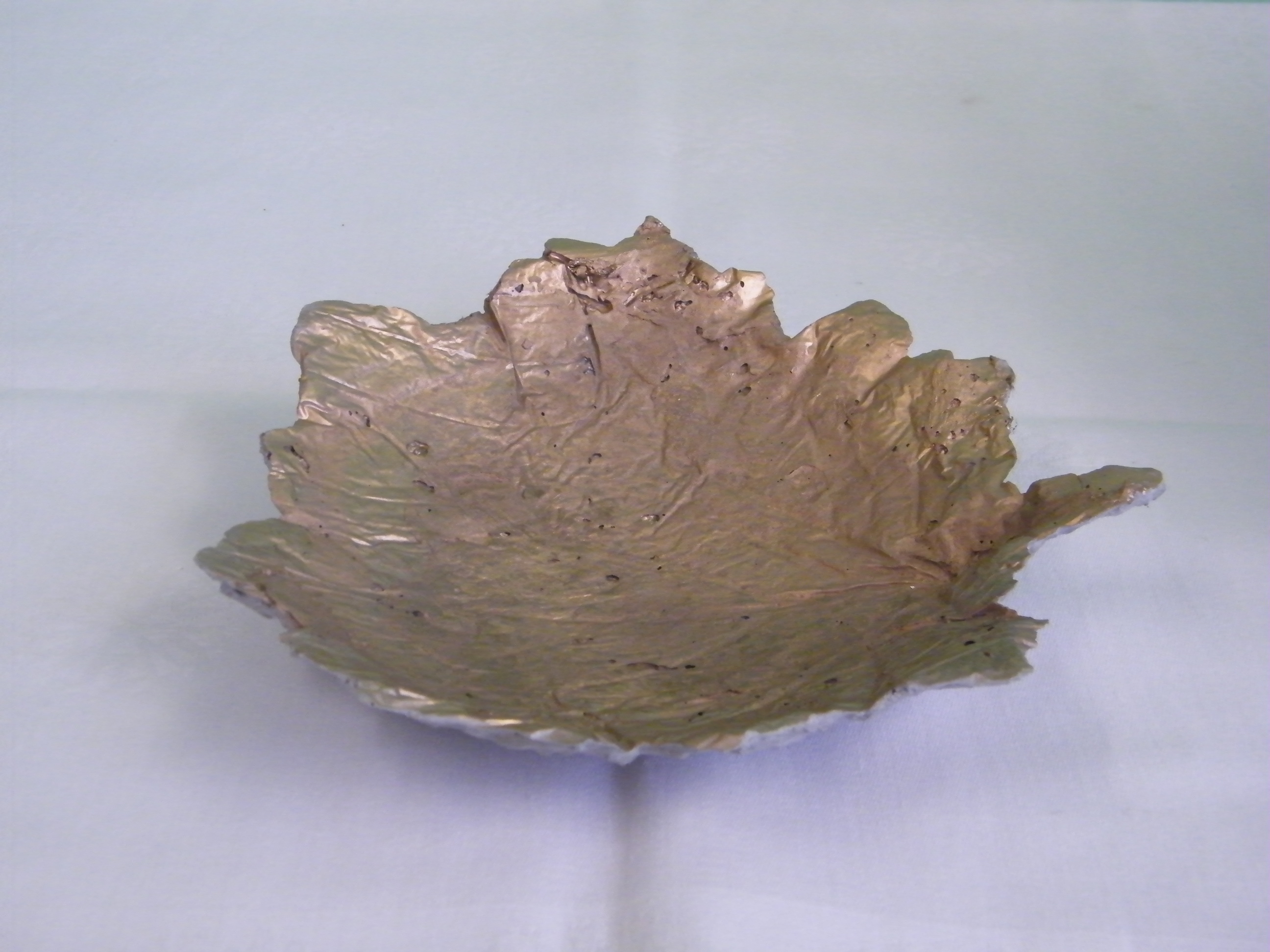 DSCF1358
