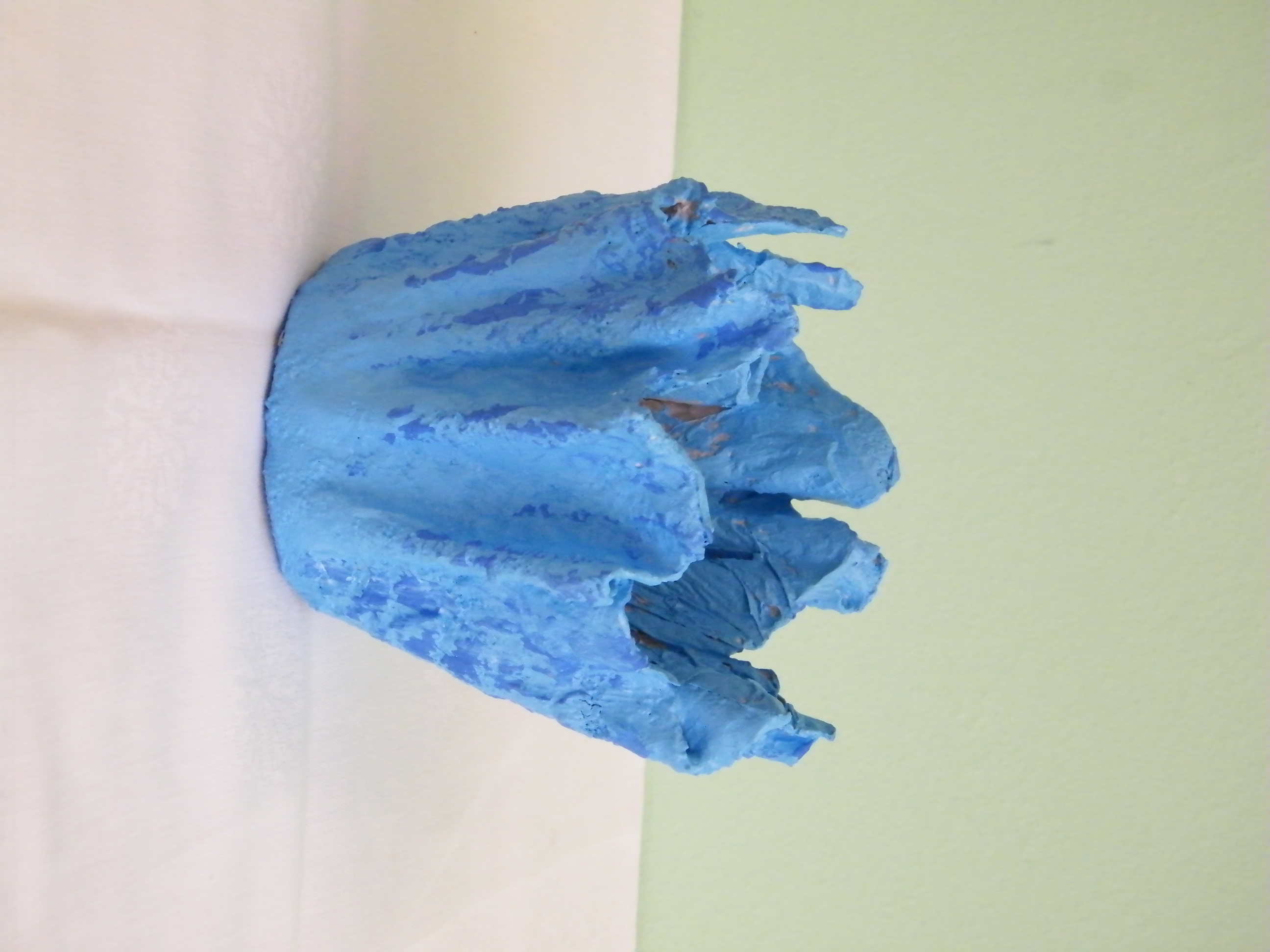 DSCF1355